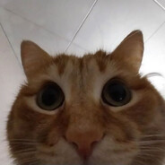 FEDU4