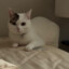 william_chen