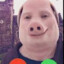 Chris P. Bacon