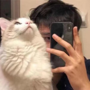 只是晕人自扰而已