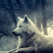 White Wolf Steam avatar