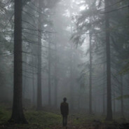 犹恐相逢是梦中