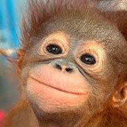 envezdealmomollameamimama