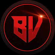 BVDMVNPT