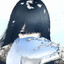 228's avatar