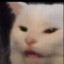 Mrmeow