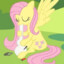flutterhigh