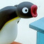 Pingu