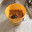 Resing