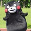 Kumamon &quot;beep! student card&quot; zzz