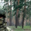 ШУРАВИ