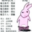 芝士雪豹