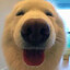 Good Boy 4