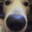 AwesomeFish420169127123067881192