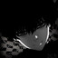 デdying as a lifestyleデ