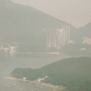 芝麻人沒有一個是蘑菇