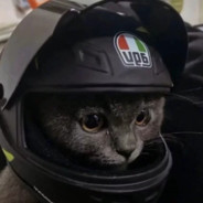 她与残局皆遗憾