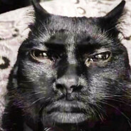black cock cat