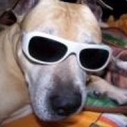 skaunie - steam id 76561197964419311