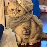 柠檬味的娃娃脸