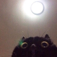 fancyCat