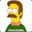 Estupido Flanders