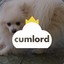 Cumlord