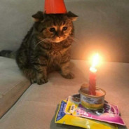 反二刺螈吧吧友