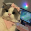 (っ◔◡◔)っTim_Bro