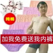 南美洲树懒