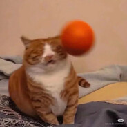 VillaNannerz
