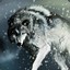 Borealis