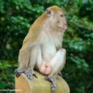 输一把3个仰卧起坐