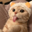MR.Xu