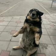 HUESOS PEEK I Narcoo