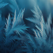 Icy avatarı