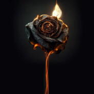 Burned Rose