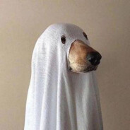 娃哈哈营养快线