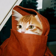 世间再无海棠花