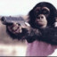 GUN MONKEY