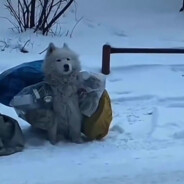 猛踹瘸子那条好腿