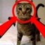 Meow Zedong