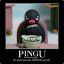 Pingu