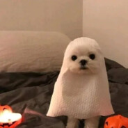 藏在内心的满怀期待