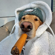 Blink - steam id 76561199470762186