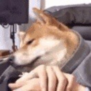 让我困在大雨里