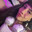 rosss