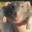 RatOfGreed