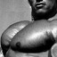 AWhnald&#039;s Chest