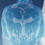 JimmyJam avatar